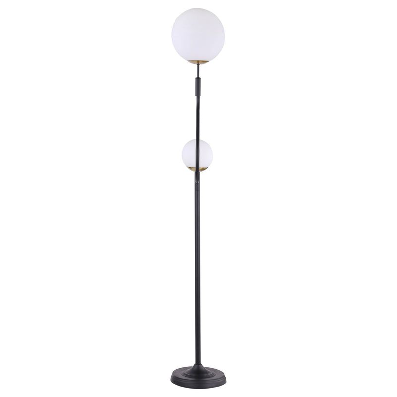 Dacki Floor Lamp